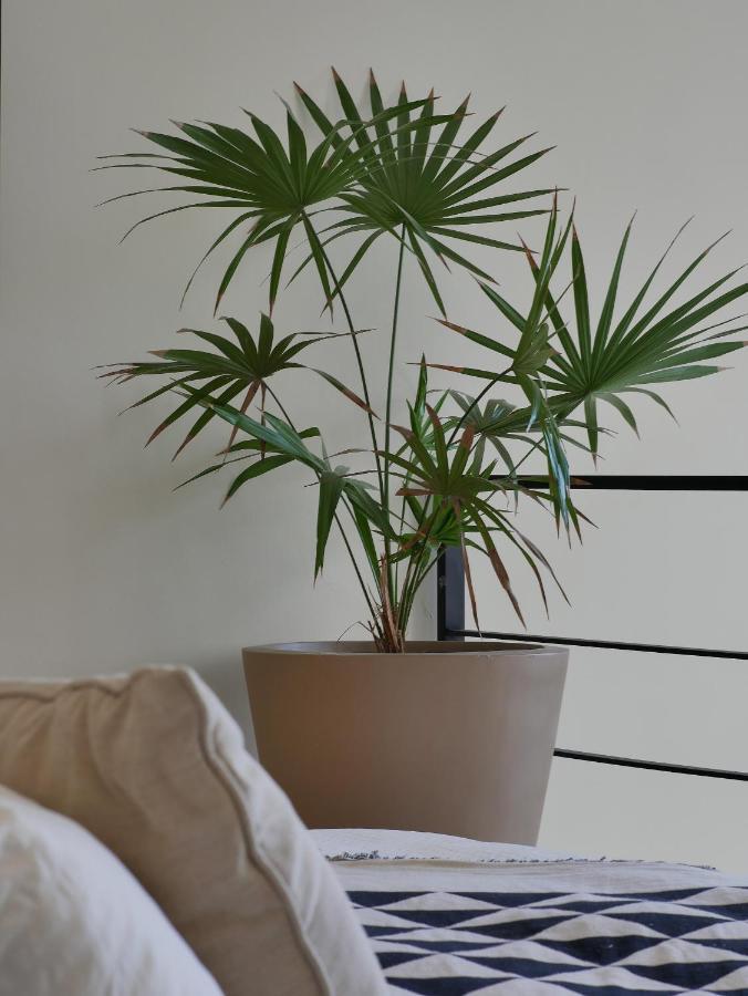 Apartamento Isla Mexico