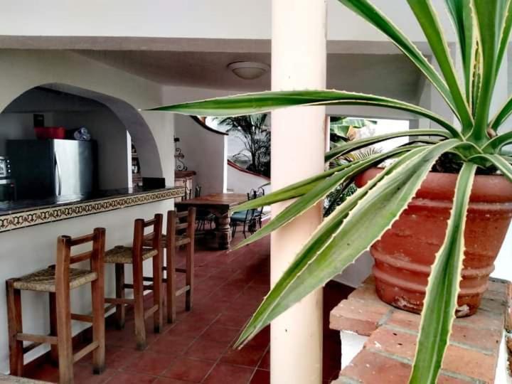 Casa Palapa Villa Puerto Vallarta