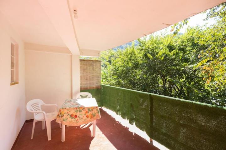 Casa Olga * Puerto Vallarta