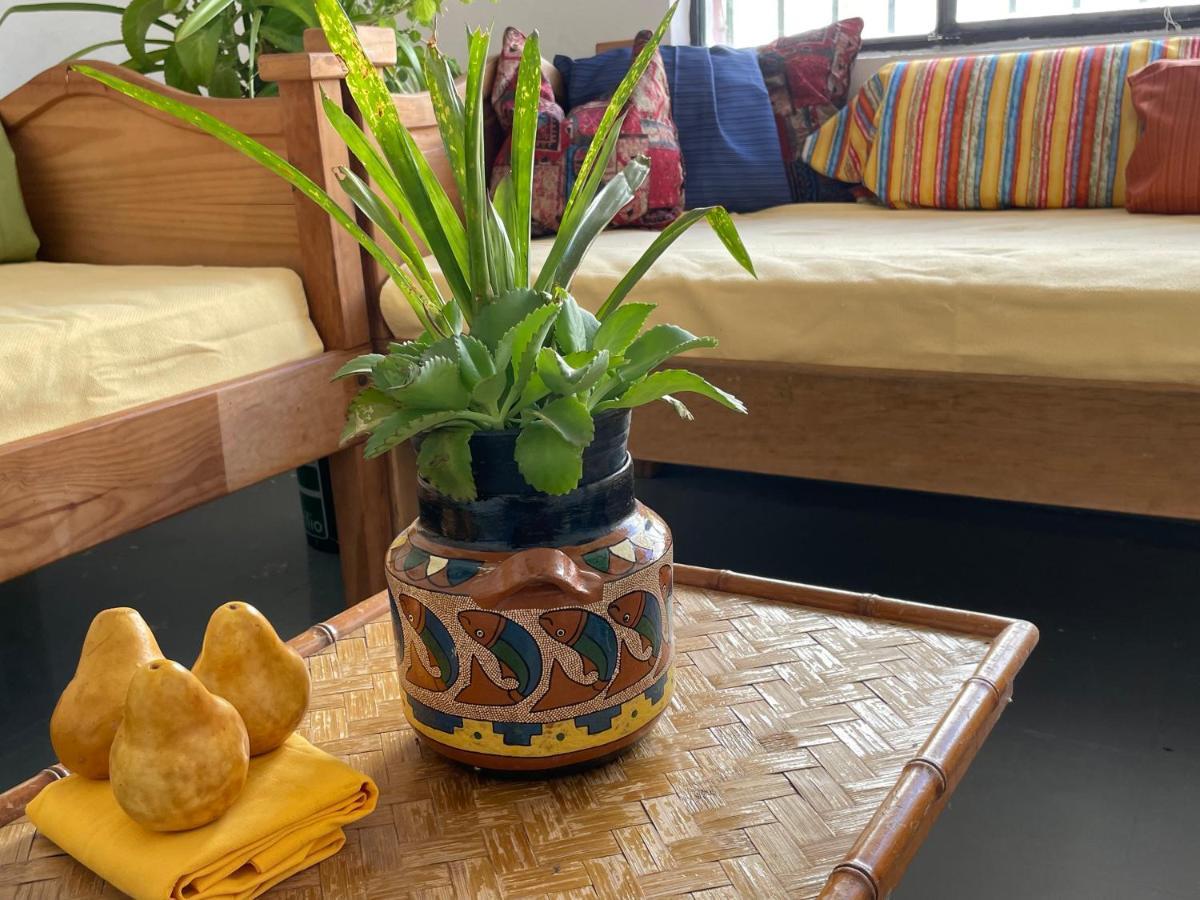 Hostel Vive Alegria Puerto Vallarta
