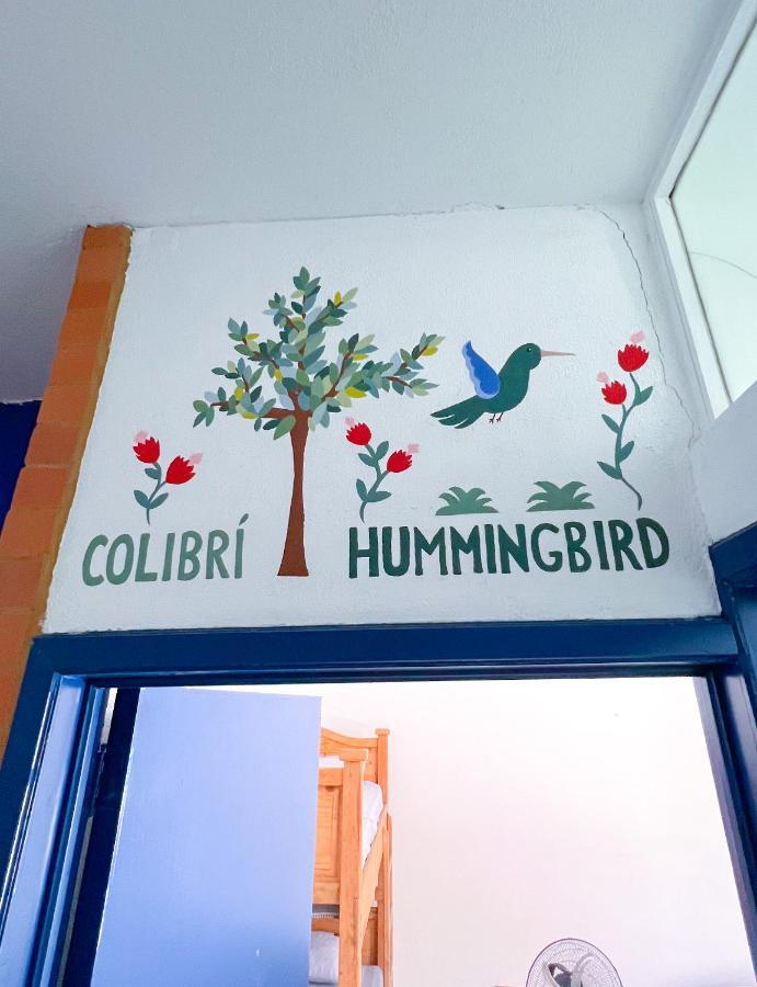 Vive Alegria Hostel *
