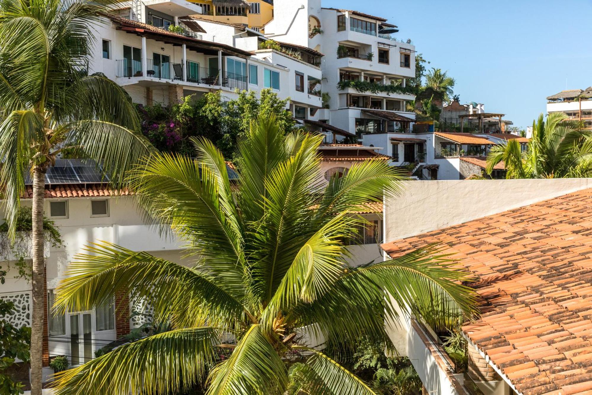 Apartment Luxury Condo-in The Heart Of Zona Romantica, Steps From Restaurants, Shops And Nightlife *