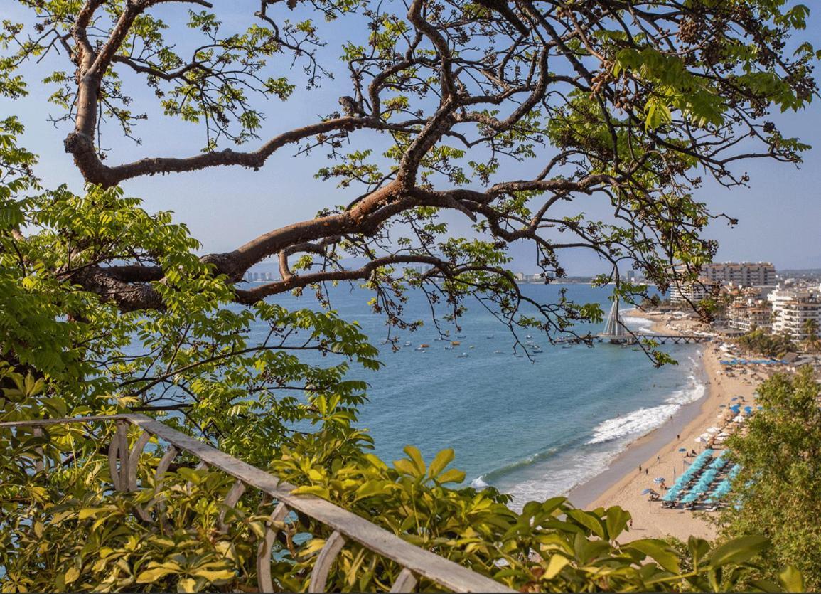 Villa Beachfront Summer *