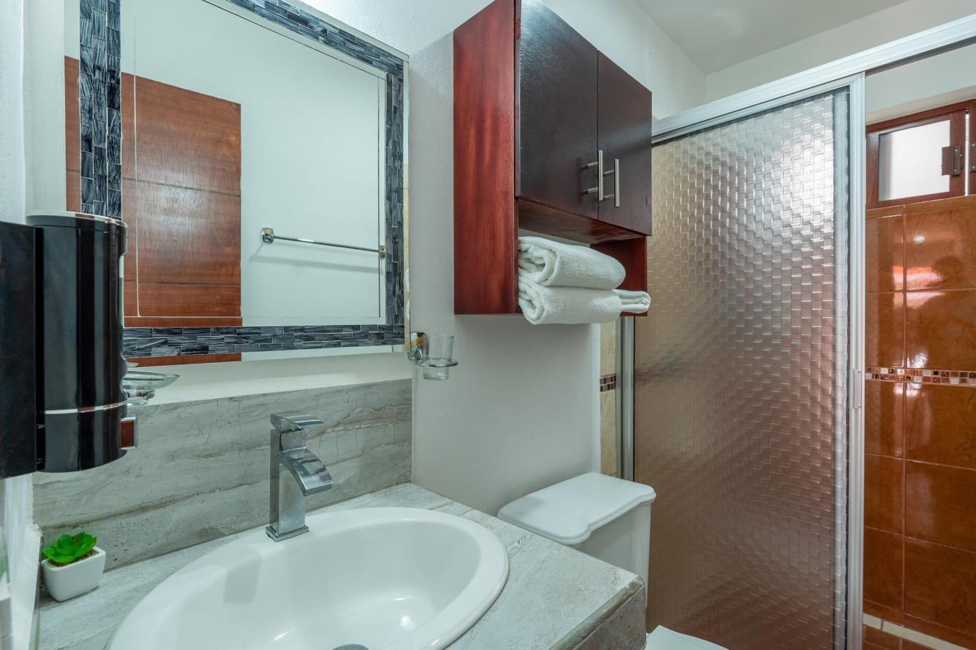 New Tranquil Oasis In Apartamento