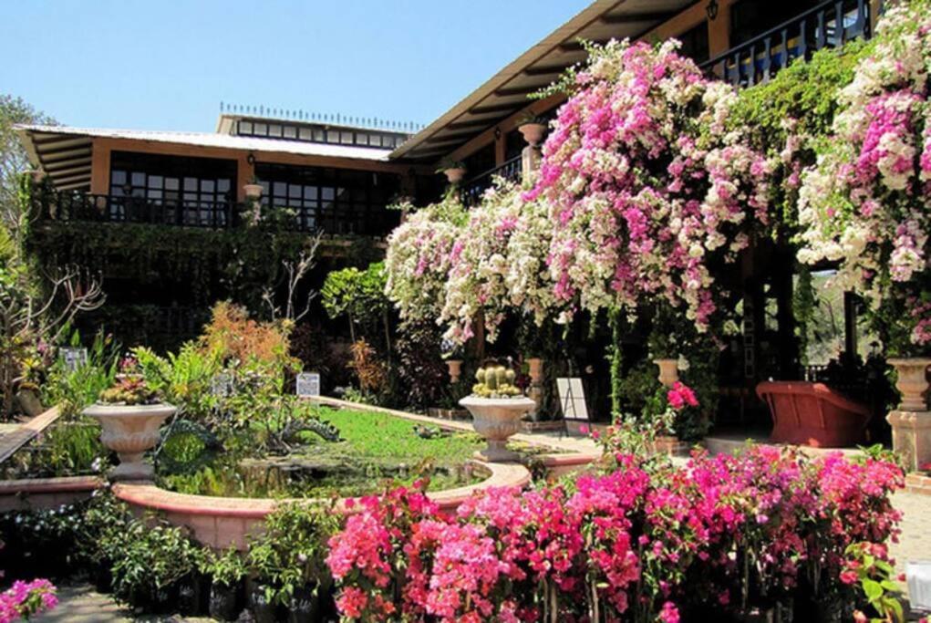Amapas Oasis With Panoramic Views, Walk To Puerto Vallarta