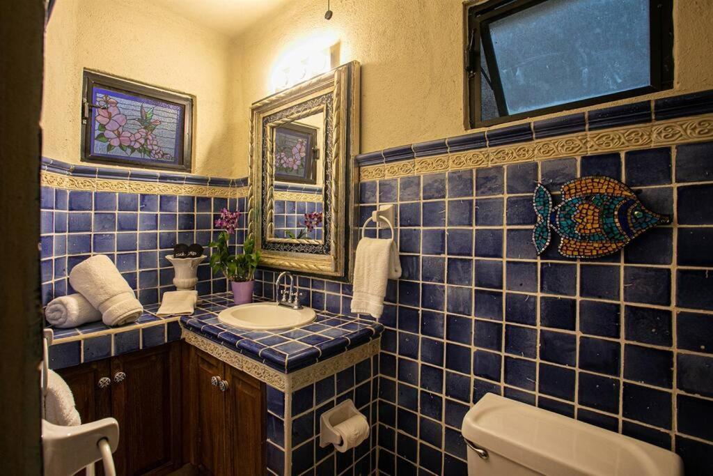 Amapas Oasis With Panoramic Views, Walk To Puerto Vallarta