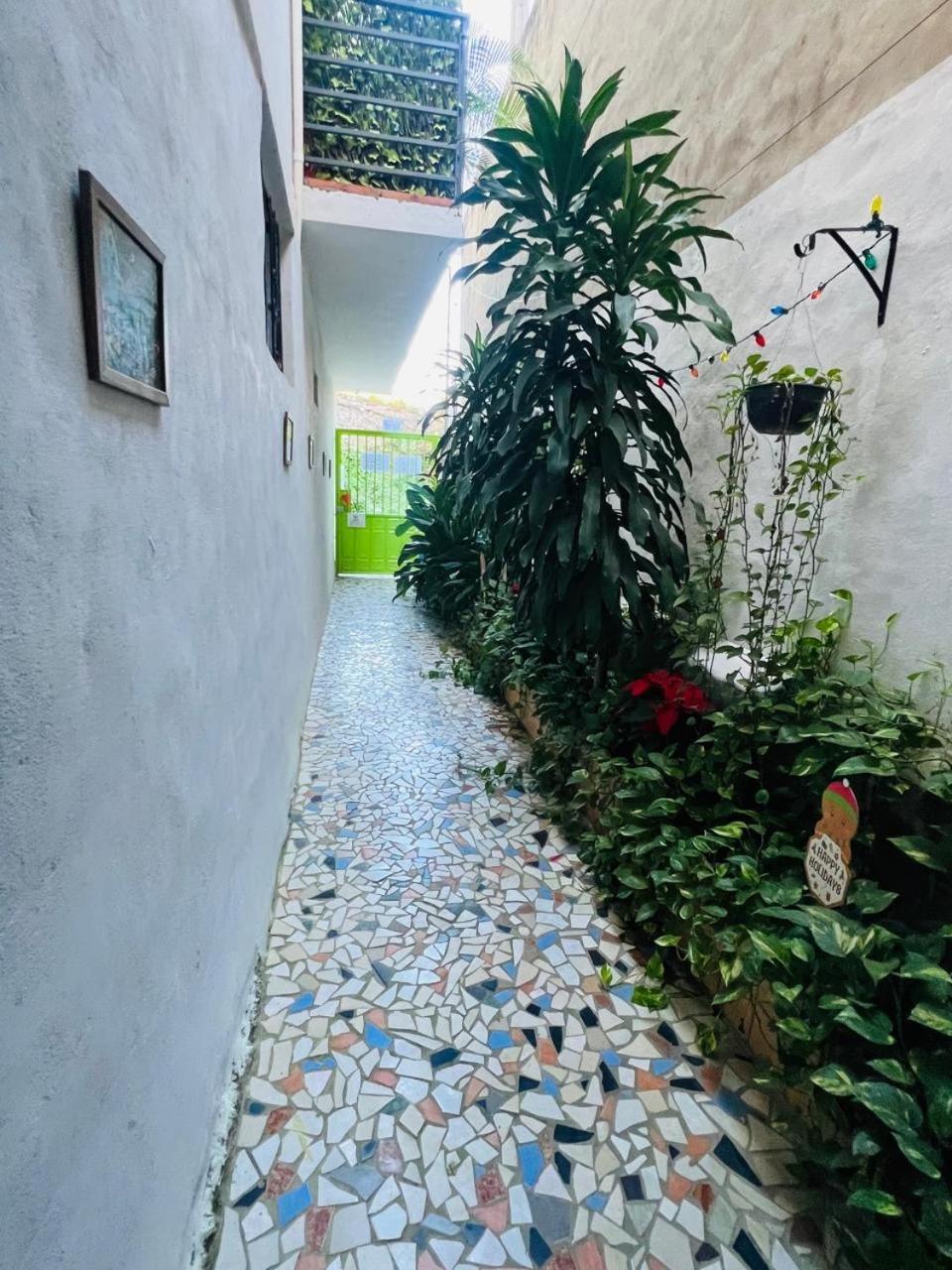 Apartment Orange Butterfly Puerto Vallarta