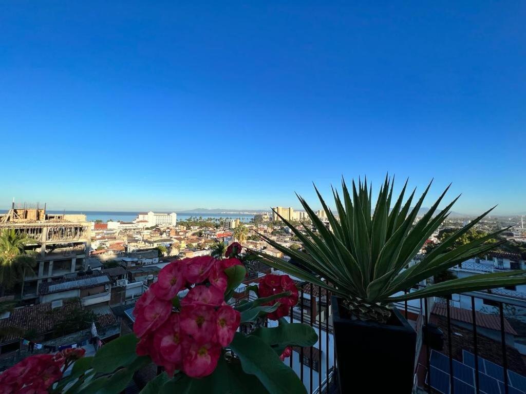 Casita Lulus Apartamento