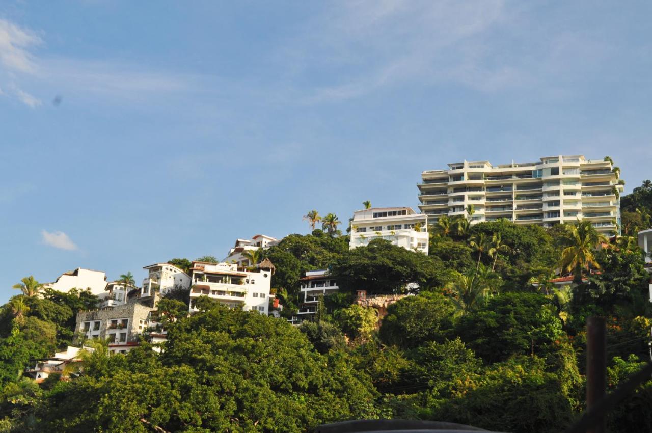 Hotel Lgbtq Hotel&suites - Hacienda Vallarta