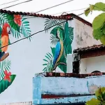 My Local Home Vallarta