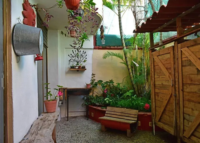 My Local Home Vallarta