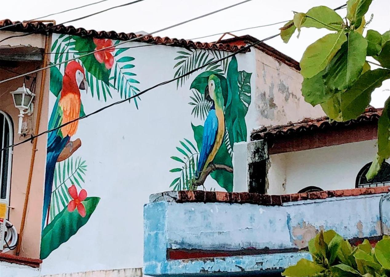 My Local Vallarta Bed & Breakfast Puerto Vallarta