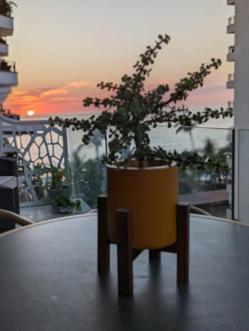Apartment Ocean View Penthouse In P.v. Romantic Zone Puerto Vallarta