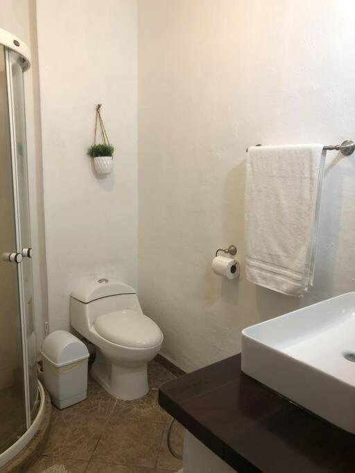 Centrally Located 1 Block From Beach, Quiet 2 Bedroom With Pool Apartment