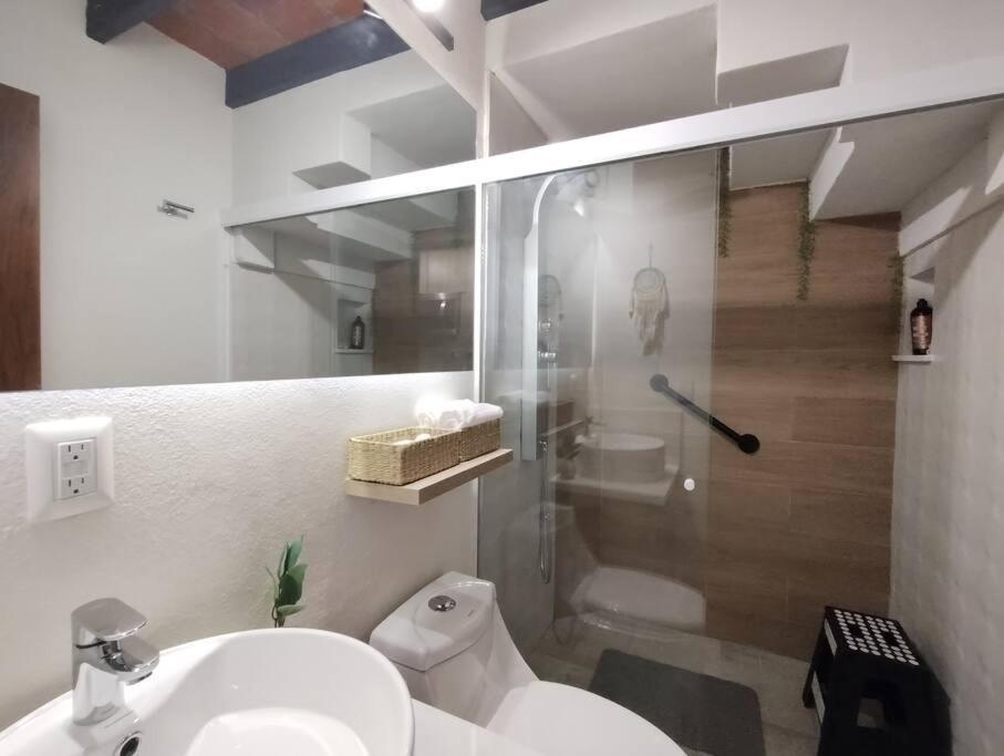 Smart Loft En Zona Marina Vallarta Apartment *