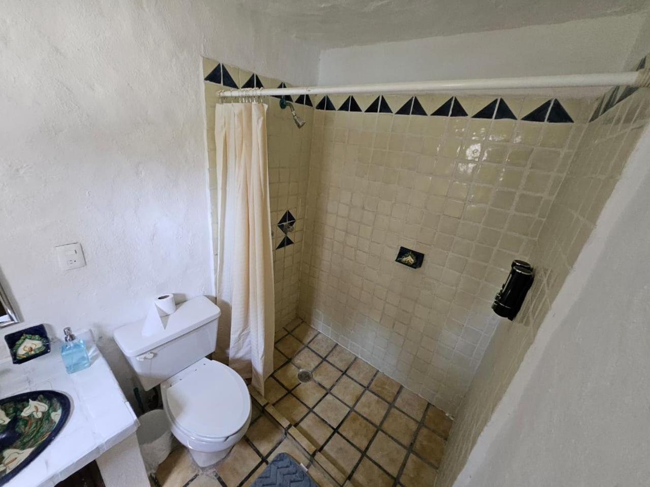 Apartment Rustico Con Alberca En Versalles *