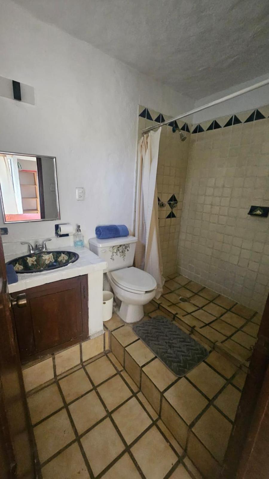 Apartment Rustico Con Alberca En Versalles