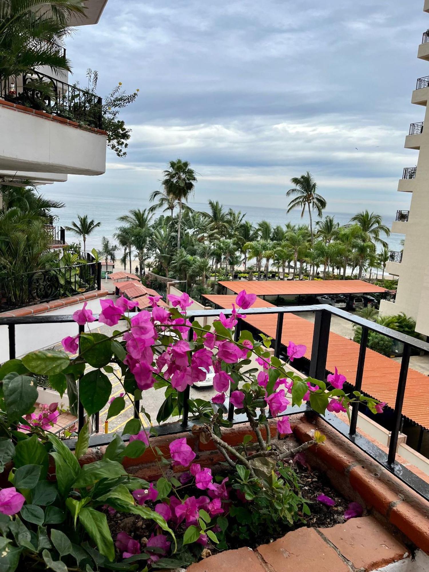 Beautiful Jr In The Heart Of Half A Block From The * Puerto Vallarta