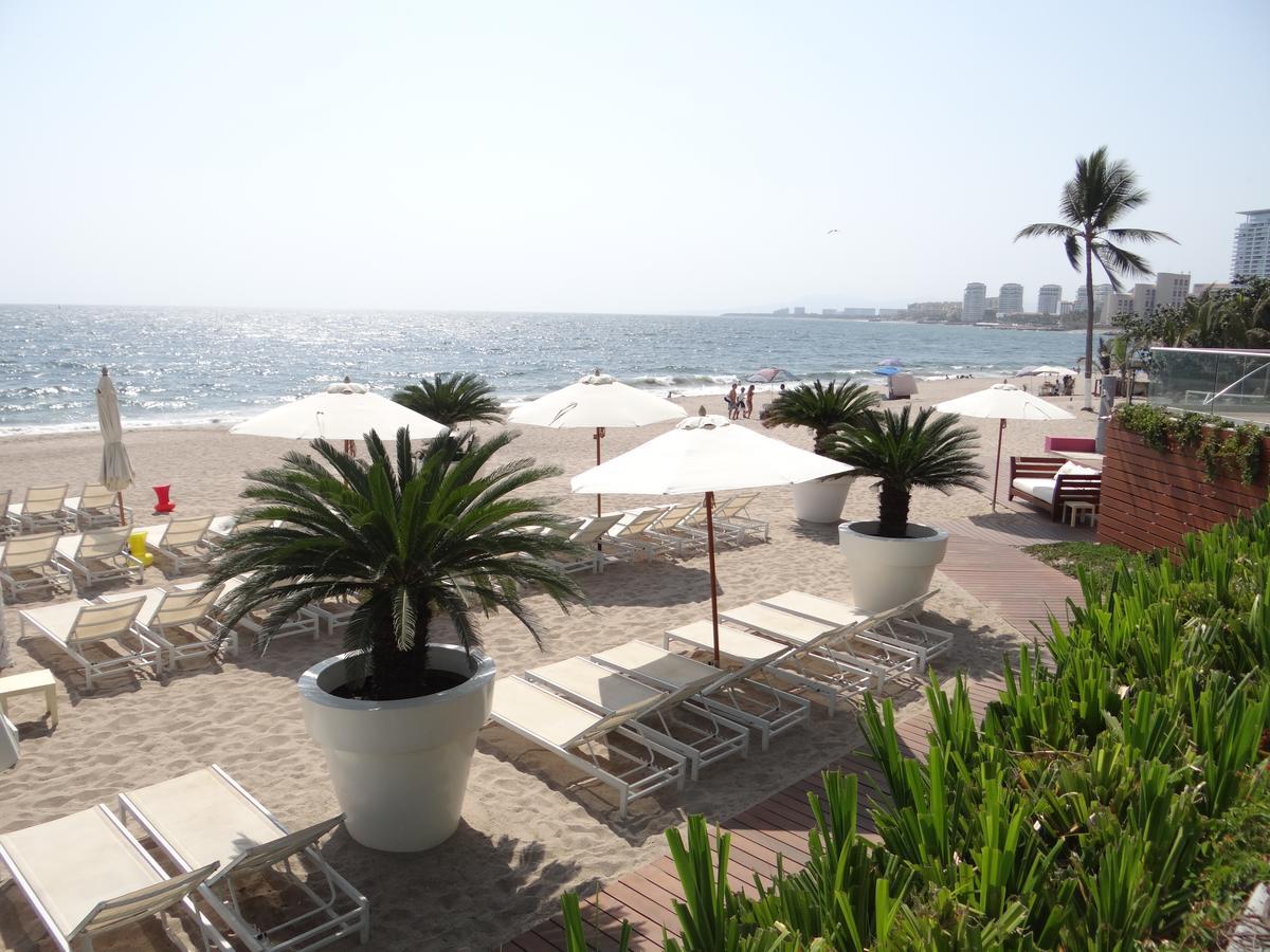Icon Vallarta Apartment