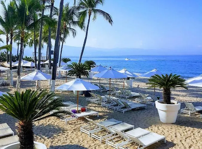 Icon Vallarta
