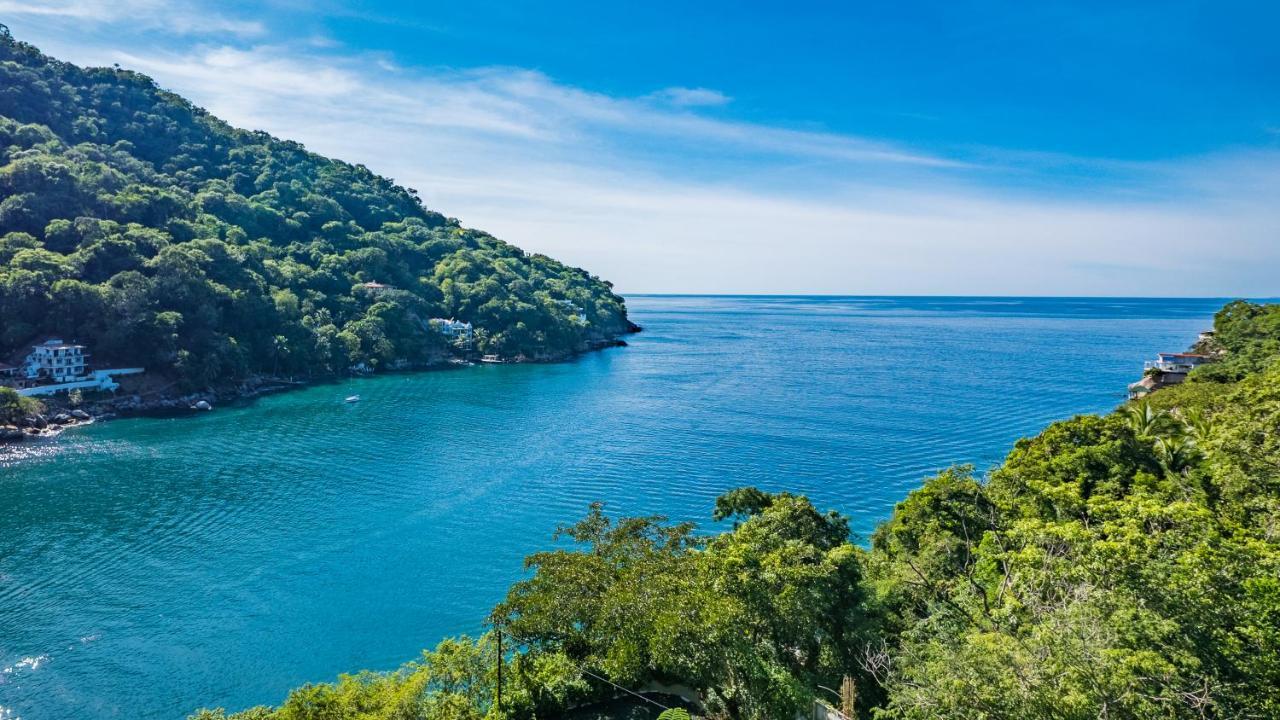 Apartment Pv South Shore Luxury Suites And For Rent Puerto Vallarta