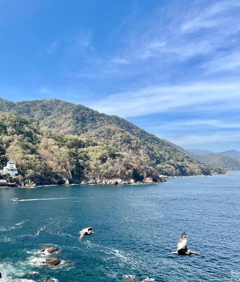Oceanfront Villa, A Unique Experience Villa