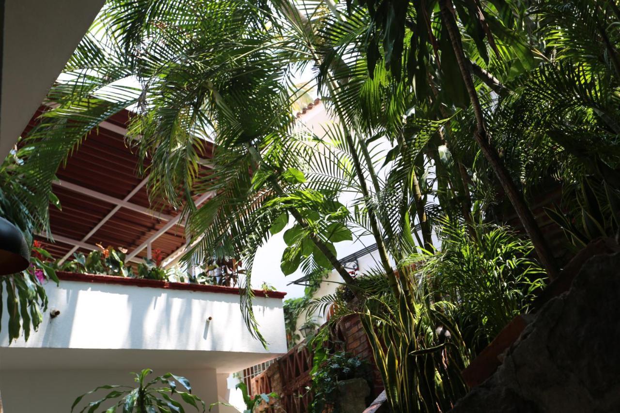 La Del Sol - Pool & And Staff Bed & Breakfast Puerto Vallarta