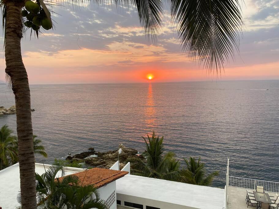 Amazing Views Pool & Ocean Access - Del Mar Pv #4 *