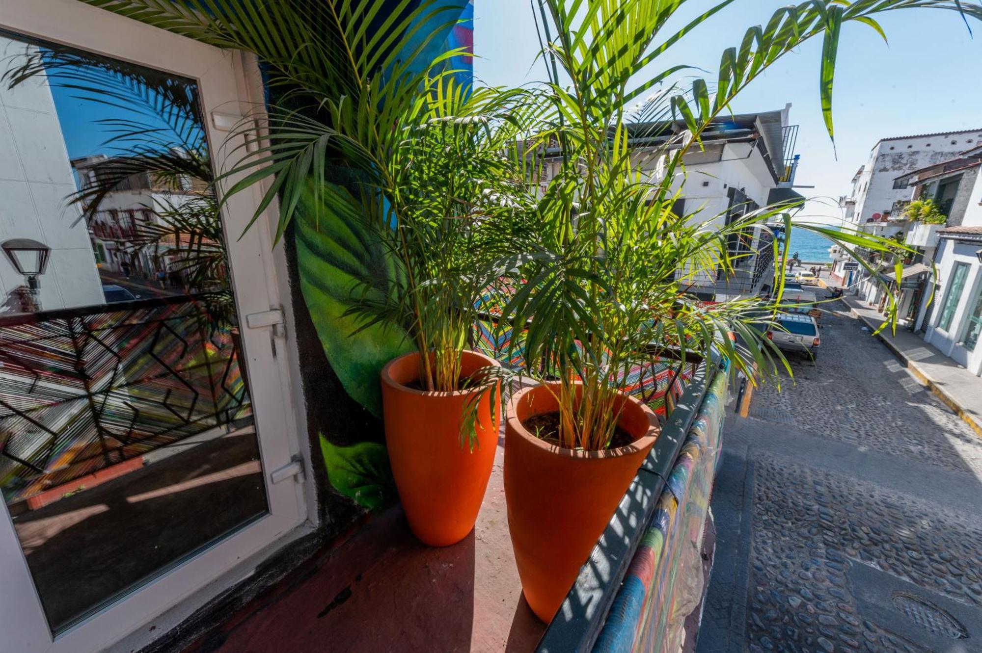 Homestay Casa Colibri Malecon Puerto Vallarta