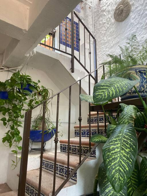 Romantique - Tropical Garden Apartamento *