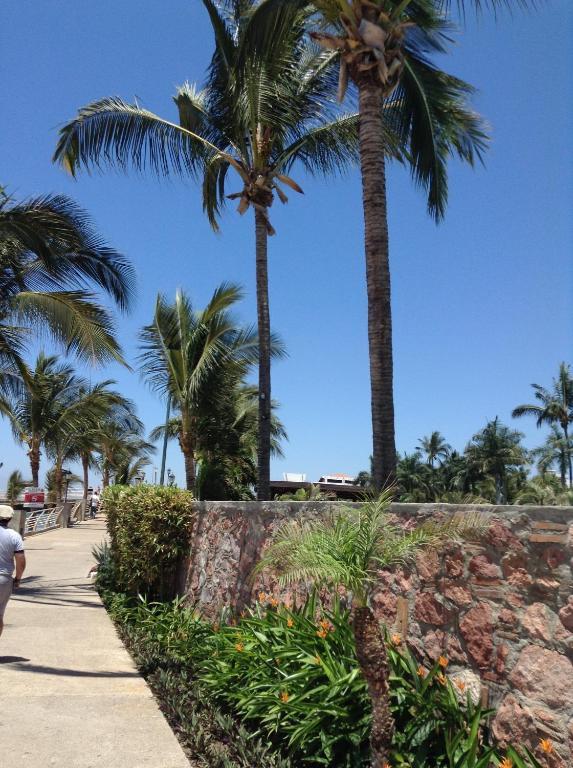 Molino De Agua