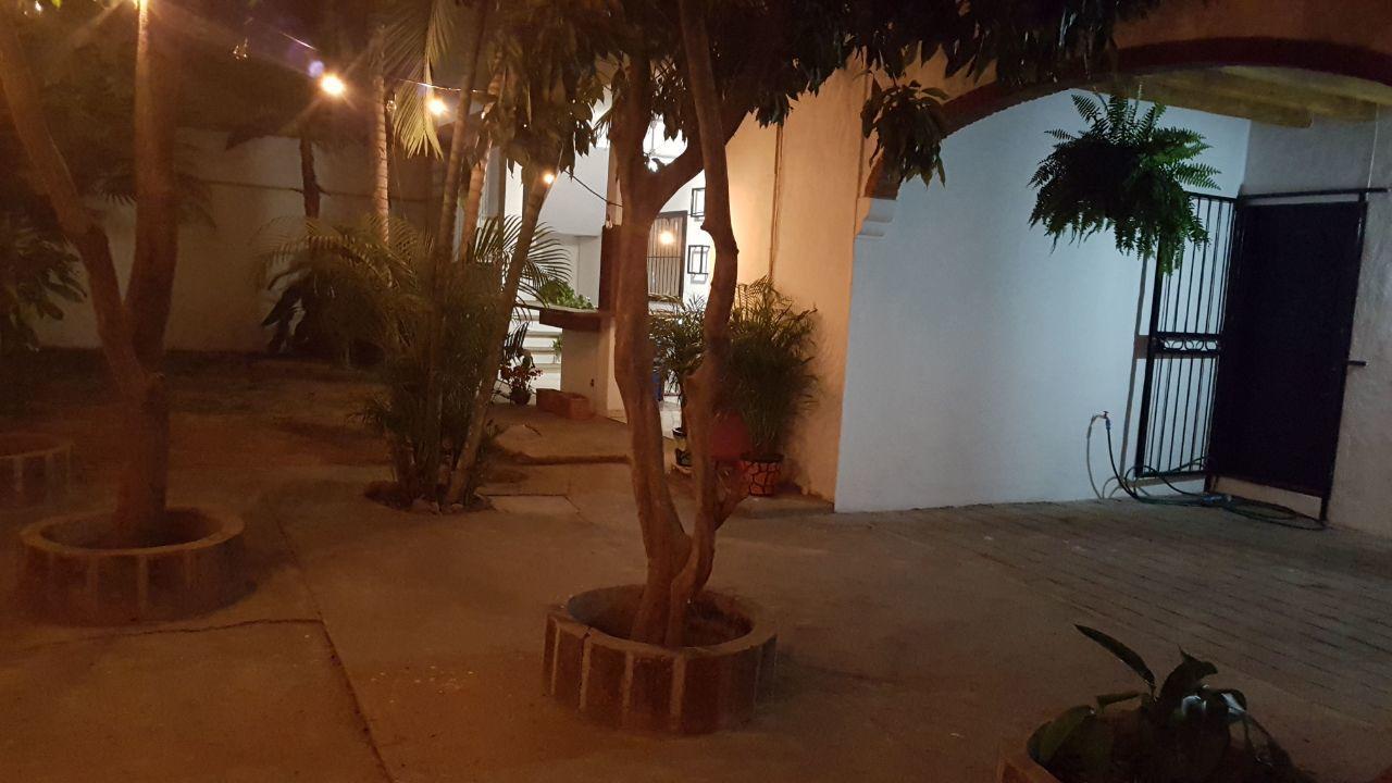 Paloma