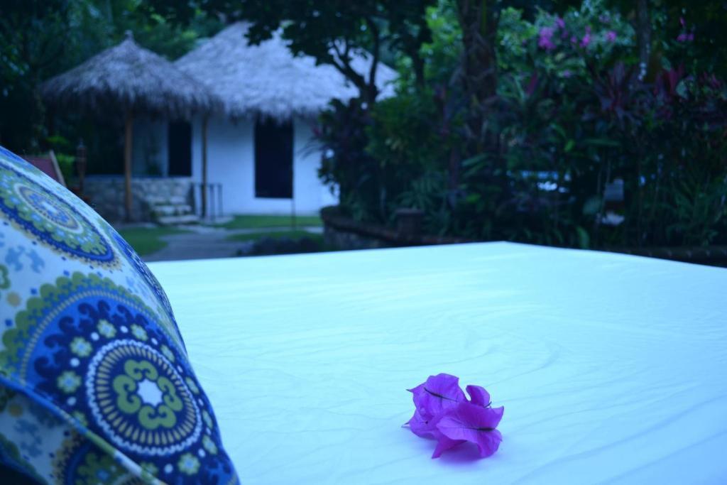 Hotel Contacto Natural (adults Only) 5*